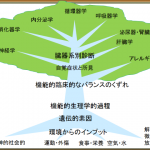 機能性医学の考え方・樹