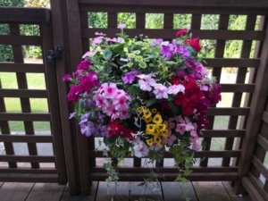 Thumbnail of post image 107