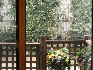Thumbnail of post image 103