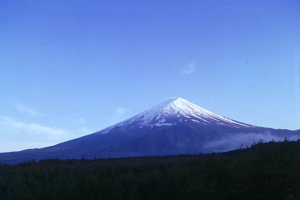 Thumbnail of post image 002